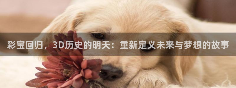彩虹多多原版：彩宝回归，3D历史的明天：重新定义未来与梦想的故事