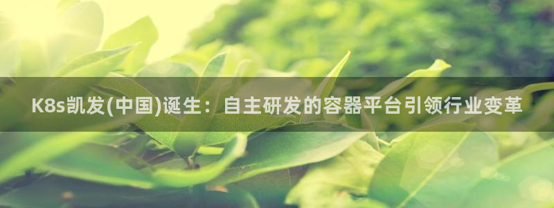 彩虹多多app苹果版本：K8s凯发(中国)诞生：自主研发的容器平台引领行业变革