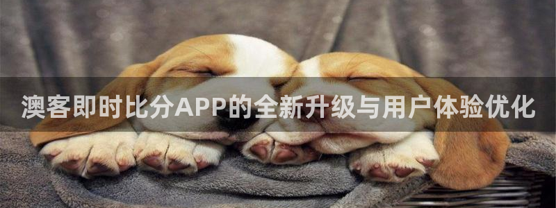 彩虹多多破解版最新版：澳客即时比分APP的全新升级与用户体验优化