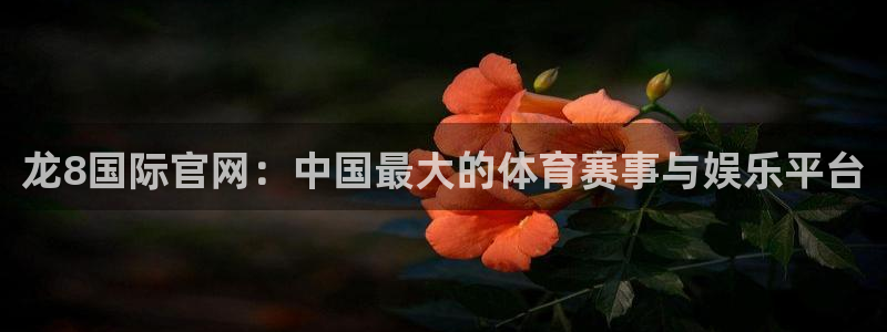 彩虹多多698免费版：龙8国际官网：中国最大的体育赛事与娱乐平台
