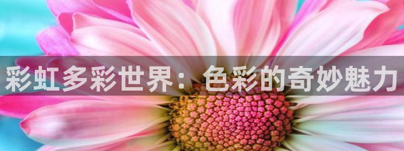 彩虹多多下载地址：彩虹多彩世界：色彩的奇妙魅力